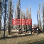 IMG-20200508-WA0038